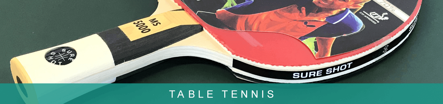 Sure Shot Table Tennis