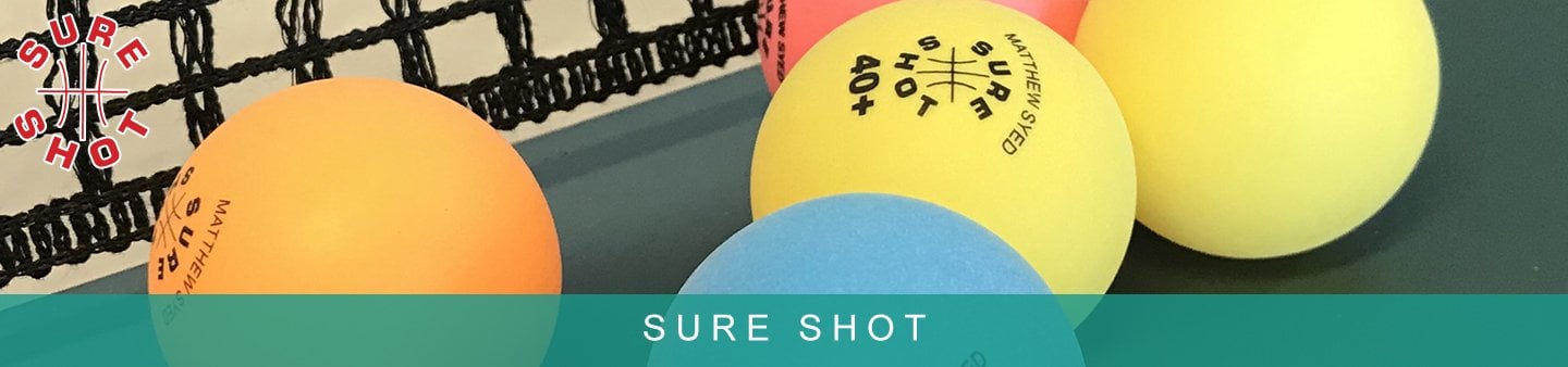 Our Sports Table Tennis 2.0